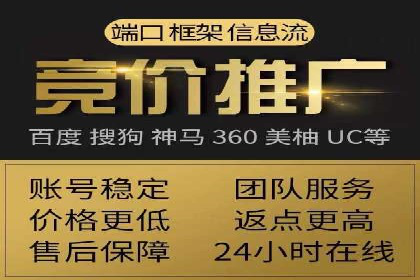 搜索引擎竞价推广实战：行业领先企业的成功秘诀